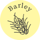 Barley